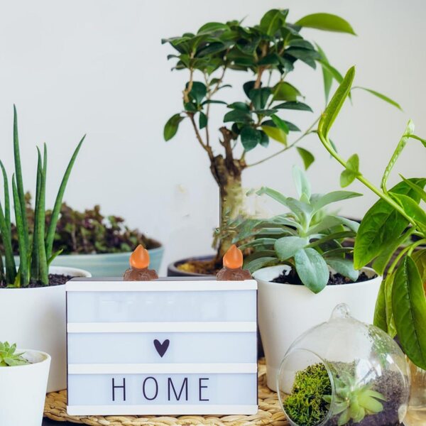 20 pezzi Falò in Miniatura per Decorazioni Giardino e Micro Paesaggi KOCKSHION