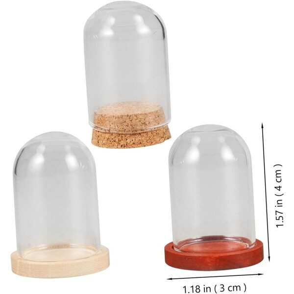3 Cupole Decorative Mini con Base in Legno per Fiori Conservati e Micro-Paesaggi