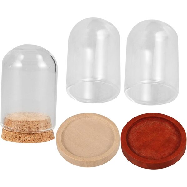 3 Cupole Decorative Mini con Base in Legno per Fiori Conservati e Micro-Paesaggi