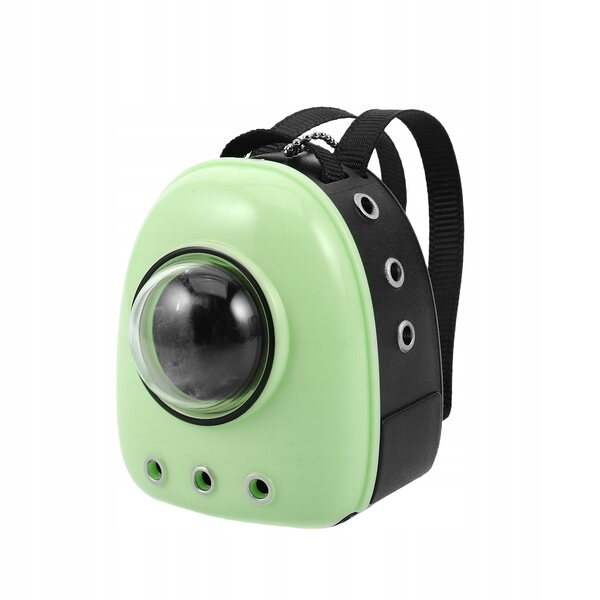 Miniatura porta gatto verde chiaro per casa delle bambole, realistico e compatto