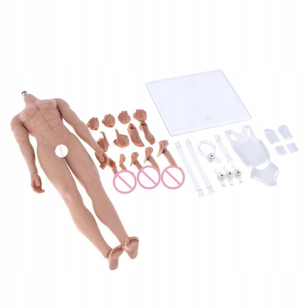 Figura Maschile 1:6 in Silicone Super Elastica con Corpo Muscoloso e Articolazioni