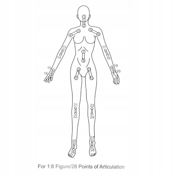 Figura femminile 1/6 con corpo flessibile e pelle in gomma per collezionisti