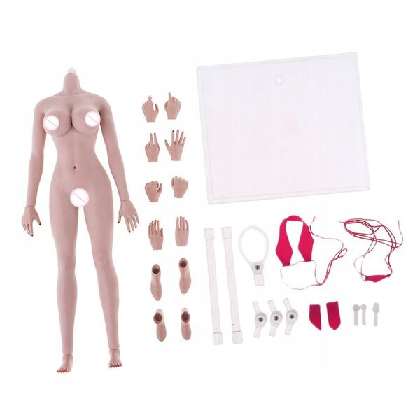 Corpo scheletrico femminile 1:6 in acciaio inox con pelle realistica e movimenti dinamici
