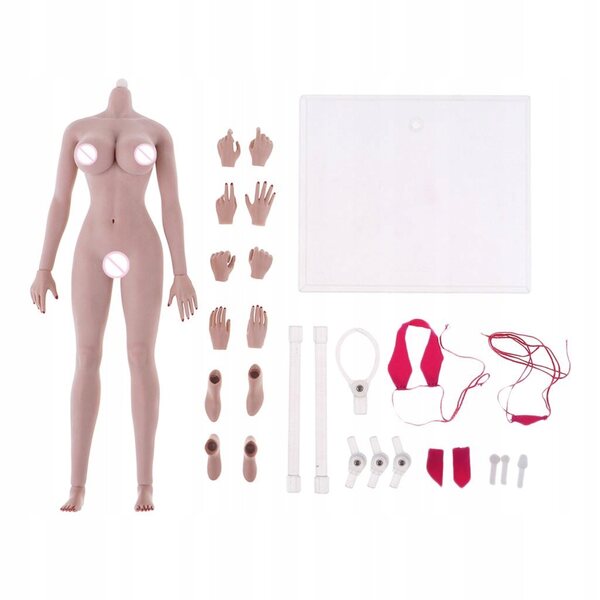 Corpo scheletrico femminile 1:6 in acciaio inox con pelle realistica e movimenti dinamici