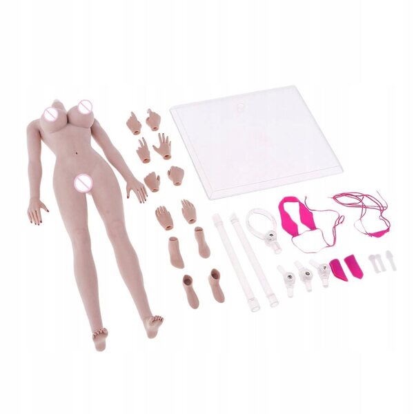 Corpo scheletrico femminile 1:6 in acciaio inox con pelle realistica e movimenti dinamici