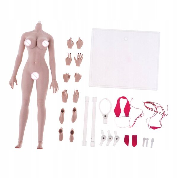 Corpo scheletrico femminile 1:6 in acciaio inox con pelle realistica e movimenti dinamici