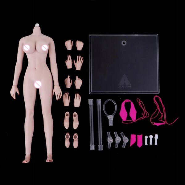 Corpo scheletrico femminile 1:6 in acciaio inox con pelle realistica e movimenti dinamici