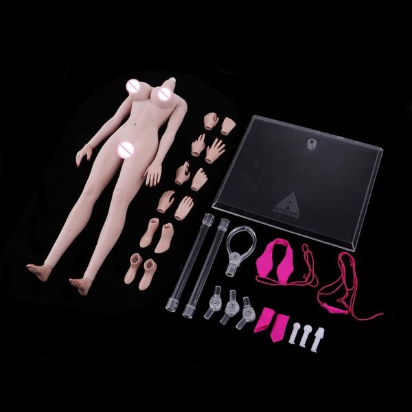 Corpo scheletrico femminile 1:6 in acciaio inox con pelle realistica e movimenti dinamici