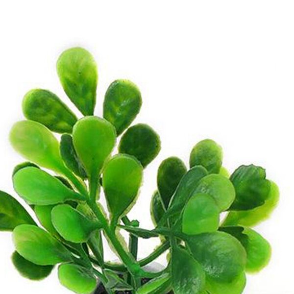 Miniatuur groene plant 1:12 voor poppenhuis - realistisch en duurzaam decor