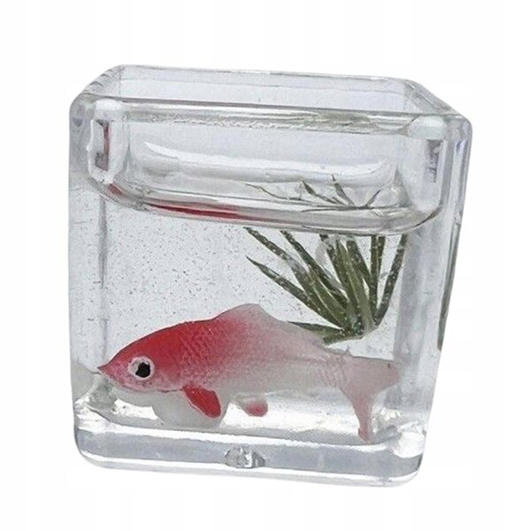 Miniatura 1:12 Vasca con Pesce Koi per Casa delle Bambole DIY in Legno Bianco