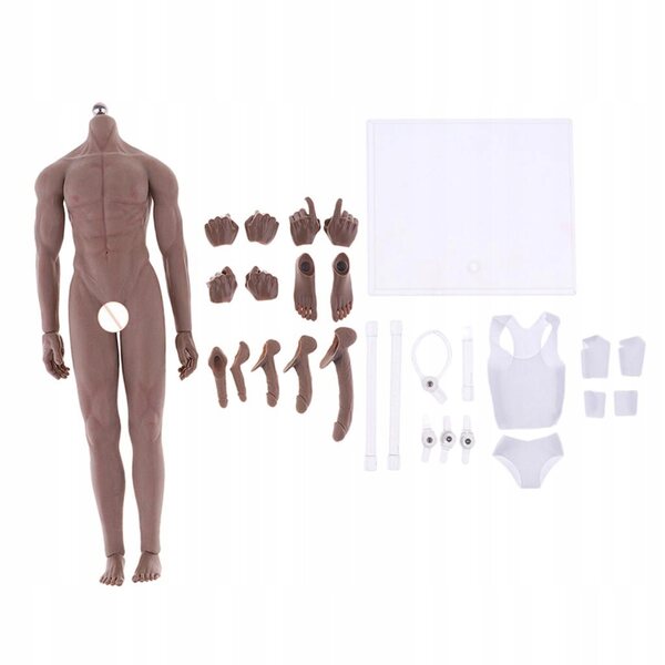 Corpo maschile muscolare in silicone 1:6 super elastico con giunture mobili
