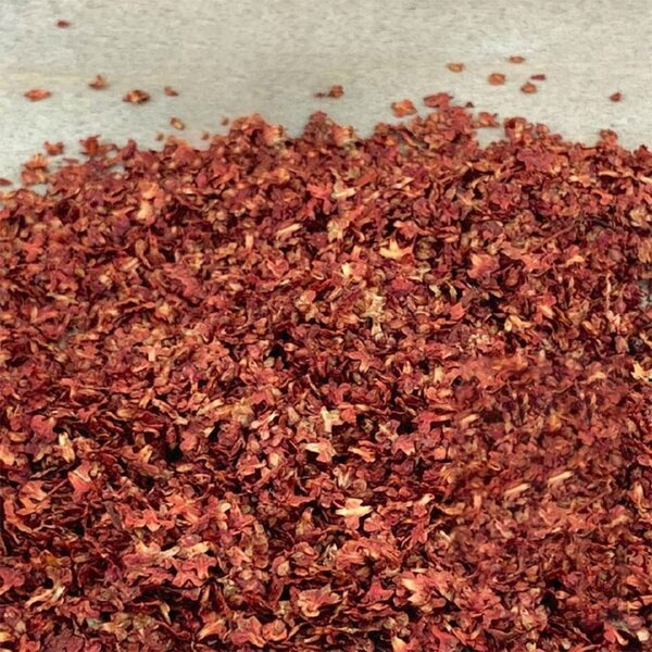 Miniatura 33 ml Foglie Rosse per Modellismo e Diorami 8x7,5 cm