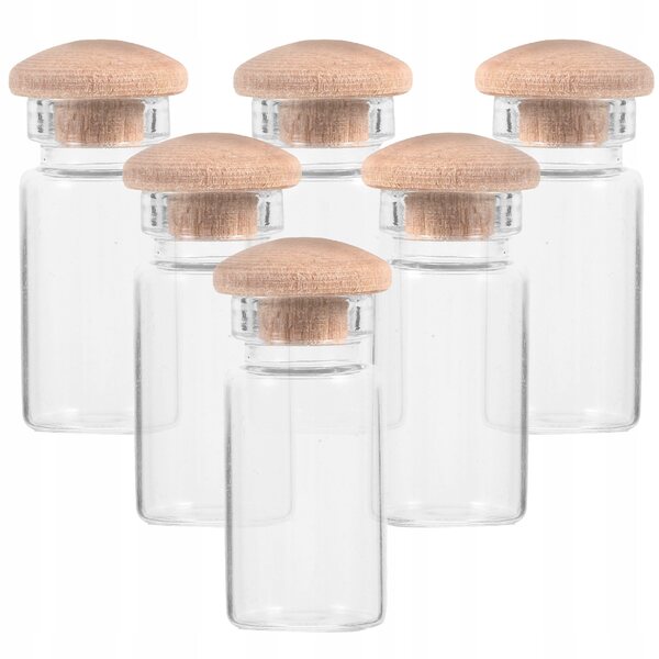 Lot de 6 mini bouteilles en verre transparent pour décoration d'intérieur et bricolage.