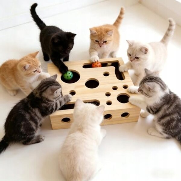 Tavola da grattare per gatti puzzle 25x15 cm, giocattolo interattivo per la casa