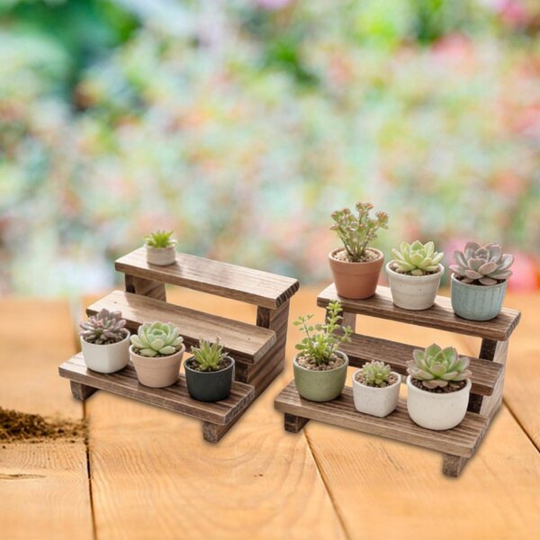 Mini-Pflanzenregal-Set aus Holz im Maßstab 1:12 für Puppenhäuser