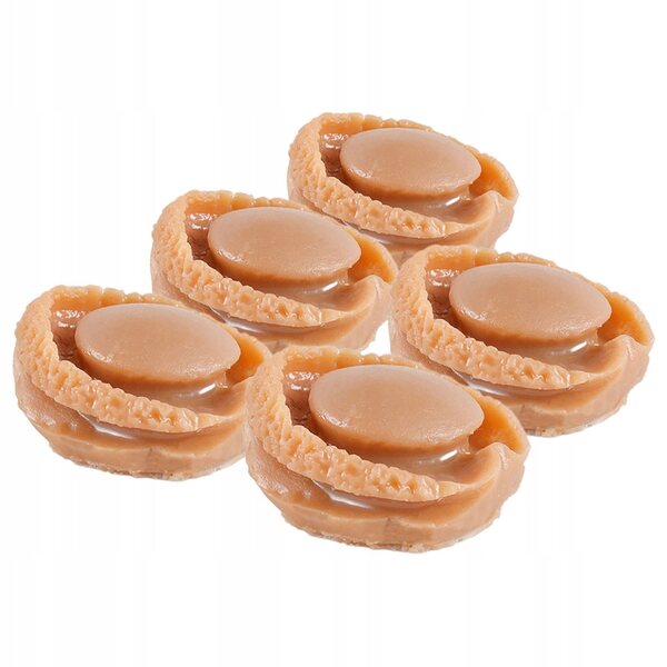 Set 5 Miniature Abalone in Plastica Marrone per Cucina Casa delle Bambole