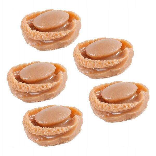 Set 5 Miniature Abalone in Plastica Marrone per Cucina Casa delle Bambole