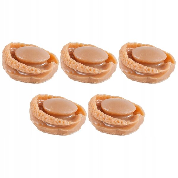 Set 5 Miniature Abalone in Plastica Marrone per Cucina Casa delle Bambole