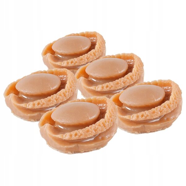 Set 5 Miniature Abalone in Plastica Marrone per Cucina Casa delle Bambole