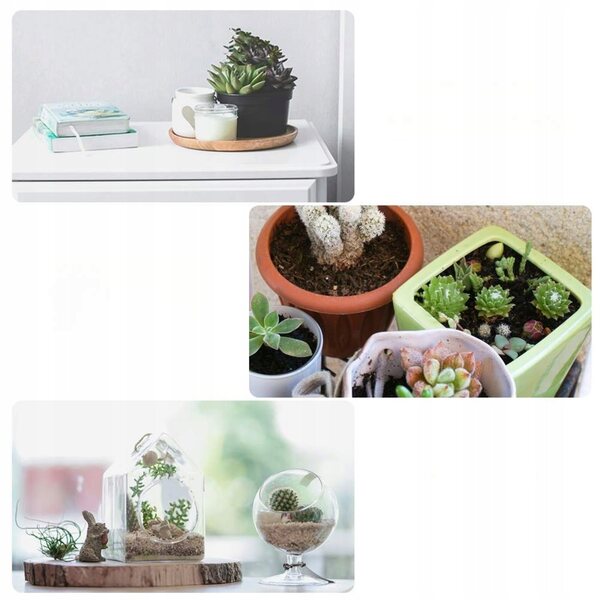 Mini pianta decorativa per casa delle bambole in resina multicolore, senza manutenzione