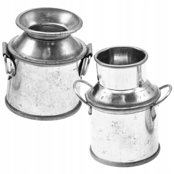 Set 2 Mini Secchielli Metallici Decorativi per Bambini e Casa, Argento