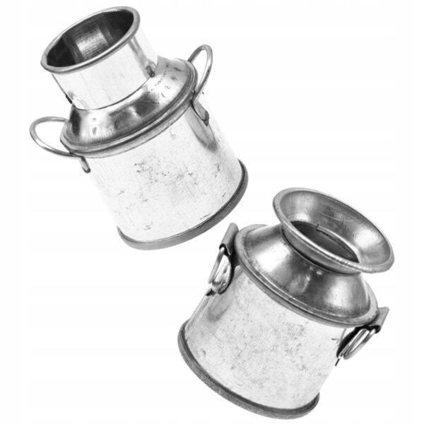 Set 2 Mini Secchielli Metallici Decorativi per Bambini e Casa, Argento