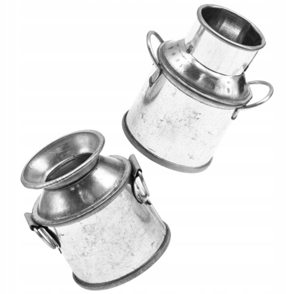 Set 2 Mini Secchielli Metallici Decorativi per Bambini e Casa, Argento