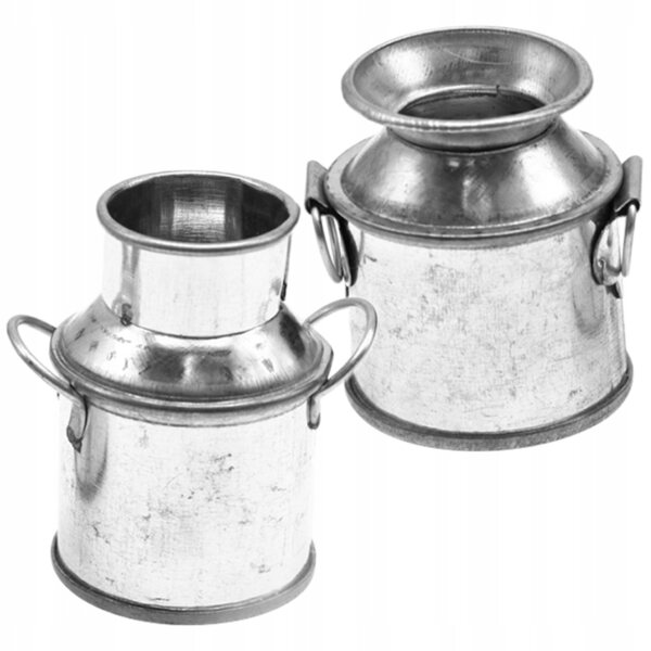 Set 2 Mini Secchielli Metallici Decorativi per Bambini e Casa, Argento
