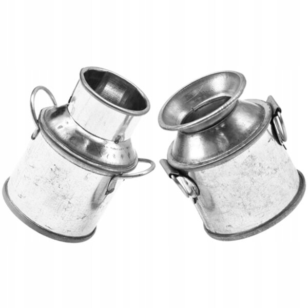 Set 2 Mini Secchielli Metallici Decorativi per Bambini e Casa, Argento