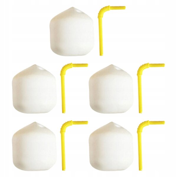 Lot de 5 mini noix de coco artificielles en résine pour décorations et miniatures