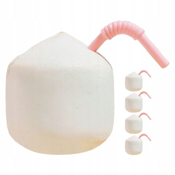 Lot de 5 mini noix de coco artificielles en résine pour décorations et miniatures