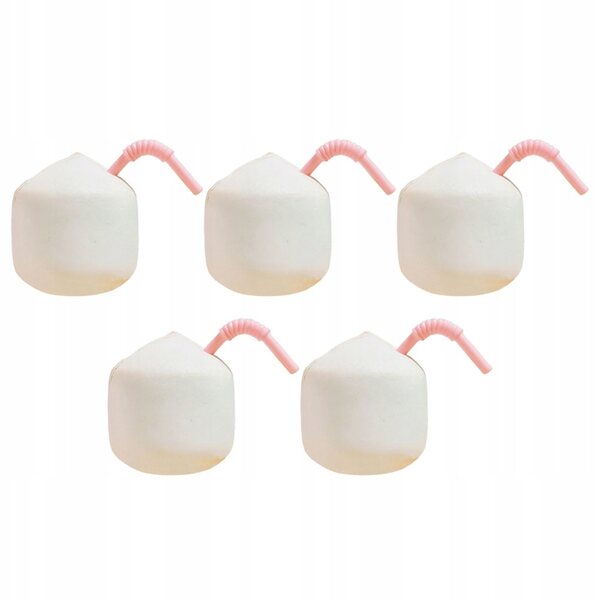 Lot de 5 mini noix de coco artificielles en résine pour décorations et miniatures