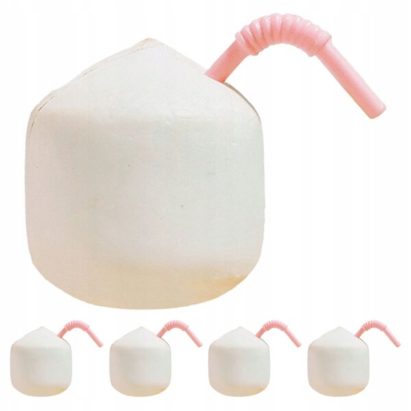Lot de 5 mini noix de coco artificielles en résine pour décorations et miniatures