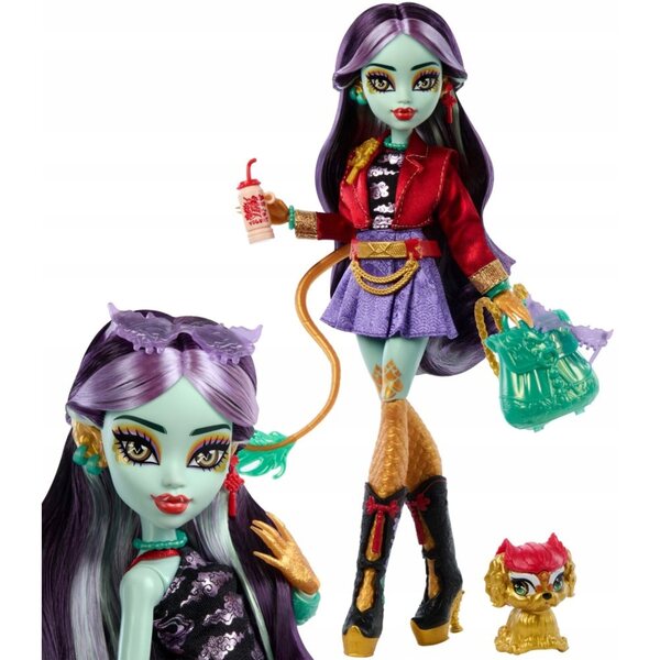 Monster High Jinafire Long 27 cm mit Cloudy Yun Yun Tier – bewegliche Puppe für Kinder