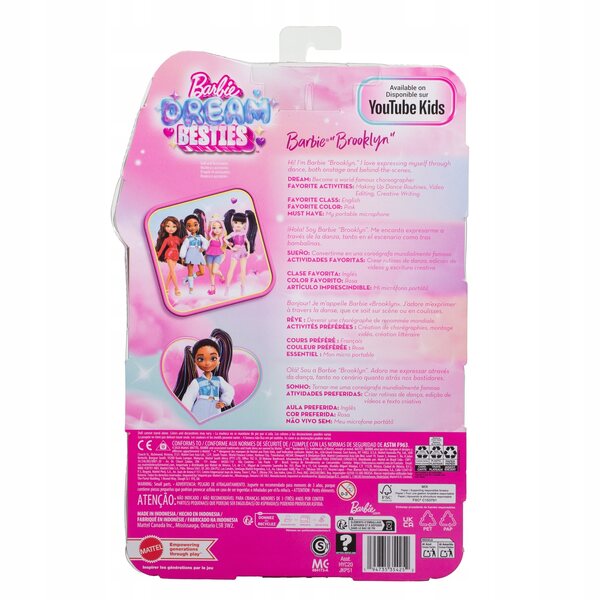 Barbie Dream Besties Brooklyn-Puppe mit Ballerina-Zubehör für Kinder ab 4 Jahren