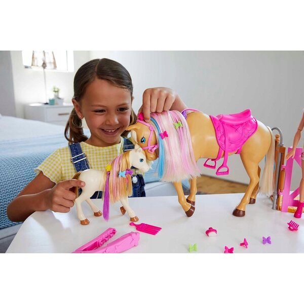 Barbie Groom n Care Pferde-Set mit Zubehör für Pferde und Barbie, ab 7 Jahren
