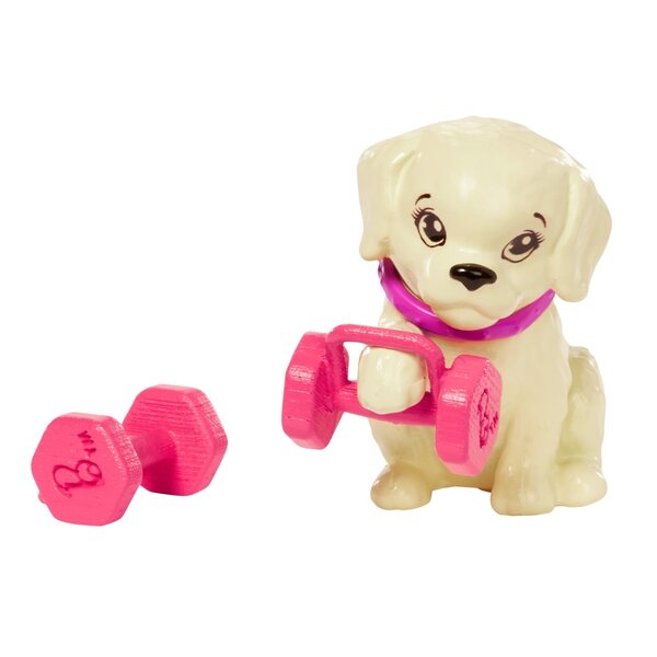 Barbie Wellness Fitness mit Zubehör und Welpen für Kinder ab 3 Jahren