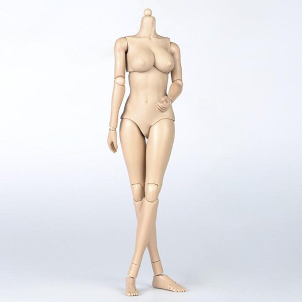 Figura Femminile 1/6 Super Elastico con 28 Giunti e Accessori per Posare