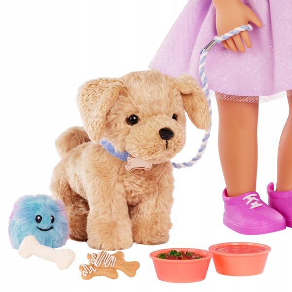 Komplettes Hundepflegeset mit Hundehütte, Halsband, Leine und Zubehör von Our Generation