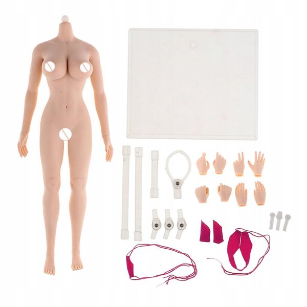 Flexible weibliche Figur im Maßstab 1:6 mit Stahlskelett und PVC-Haut