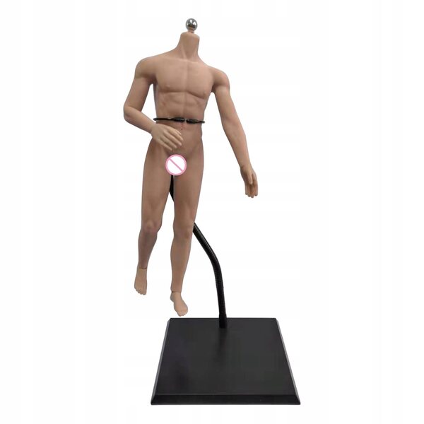 1:6 männliche Figur mit Edelstahlskelett und normaler gelenkloser Haut