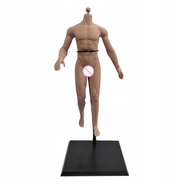 1:6 männliche Figur mit Edelstahlskelett und normaler gelenkloser Haut