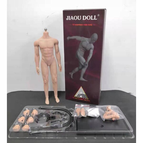 1:6 männliche Figur mit Edelstahlskelett und normaler gelenkloser Haut