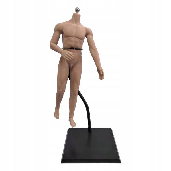 1:6 männliche Figur mit Edelstahlskelett und normaler gelenkloser Haut