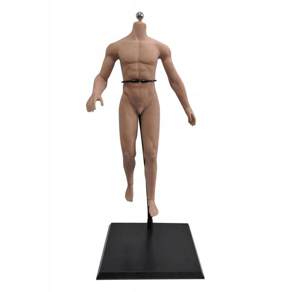 1:6 männliche Figur mit Edelstahlskelett und normaler gelenkloser Haut