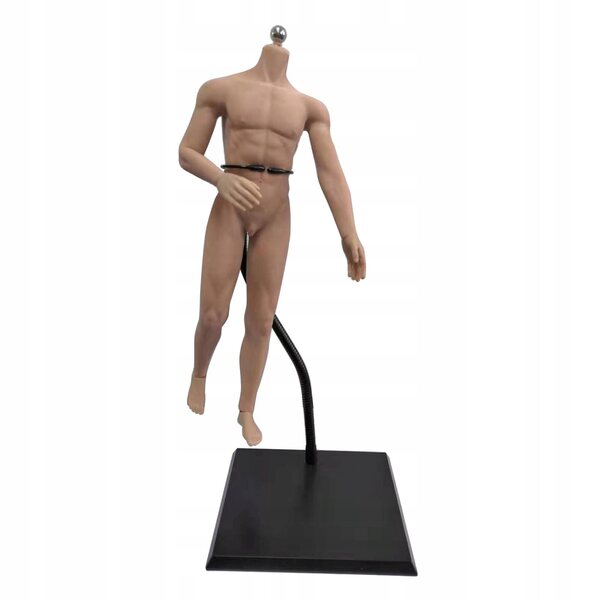 1:6 männliche Figur mit Edelstahlskelett und normaler gelenkloser Haut