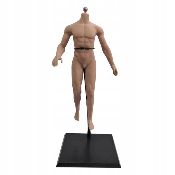 1:6 männliche Figur mit Edelstahlskelett und normaler gelenkloser Haut
