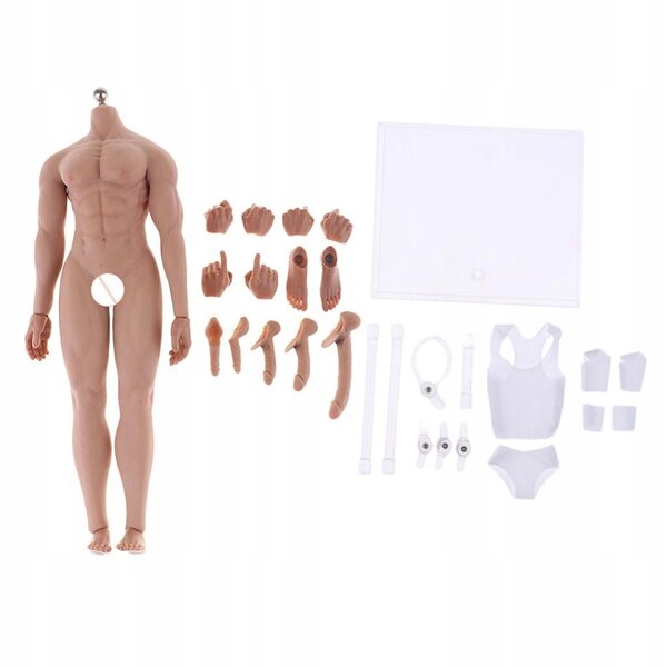 Figur eines muskulösen Mannes im Maßstab 1:6 mit Metallrahmen und weißen Accessoires
