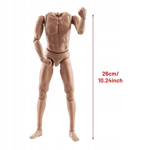 1:6 Realistische männliche Figur aus Silikon mit Stahlskelett und 28 Gelenken