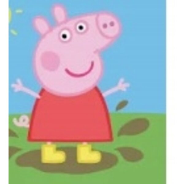 Leichter und faltbarer Sonnenschirm-Kinderwagen für Peppa Pig-Puppen